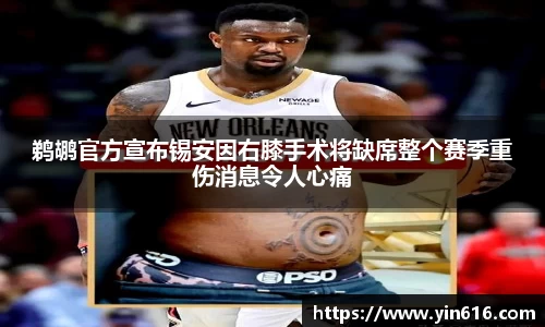 NG体育官网